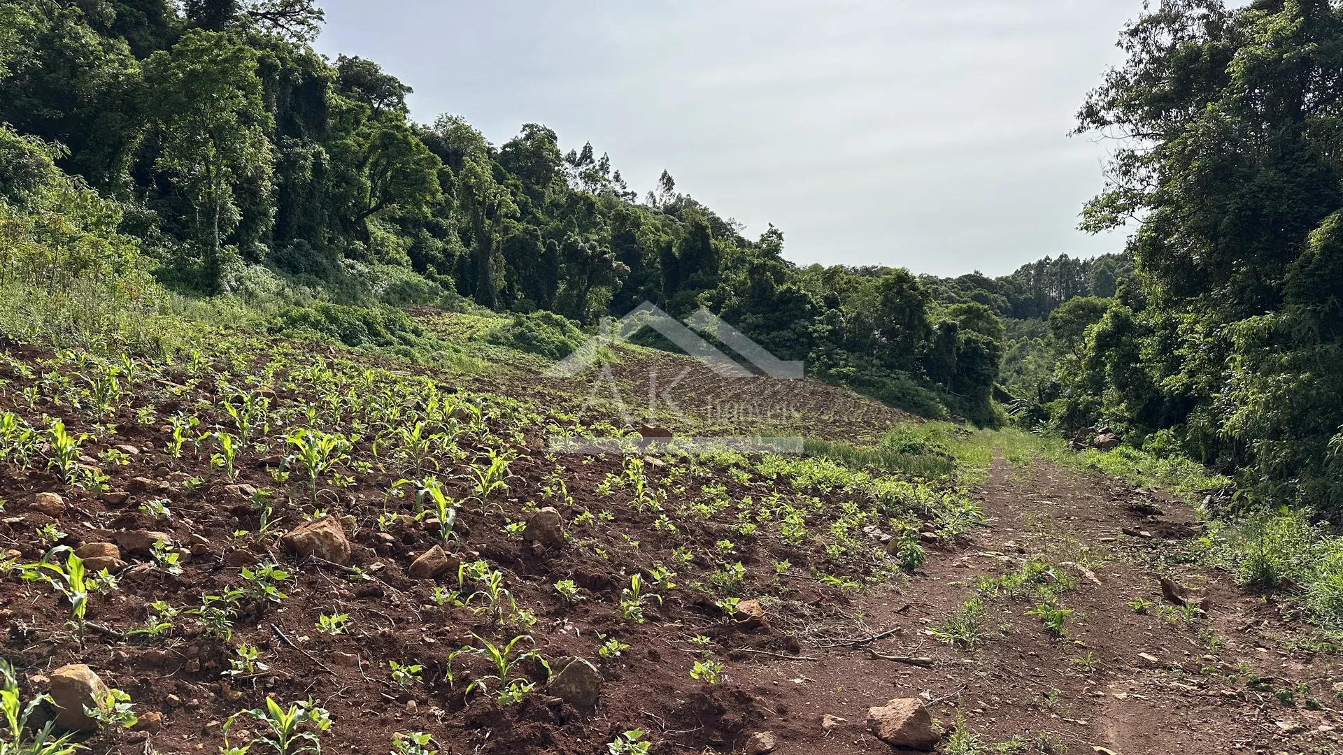 Comprar Área de Terra